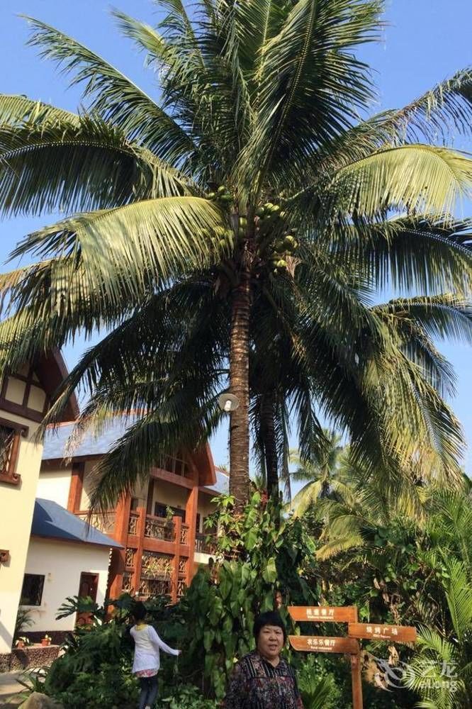 Hainan Bulongsai Resort Hotel Baoting Luaran gambar